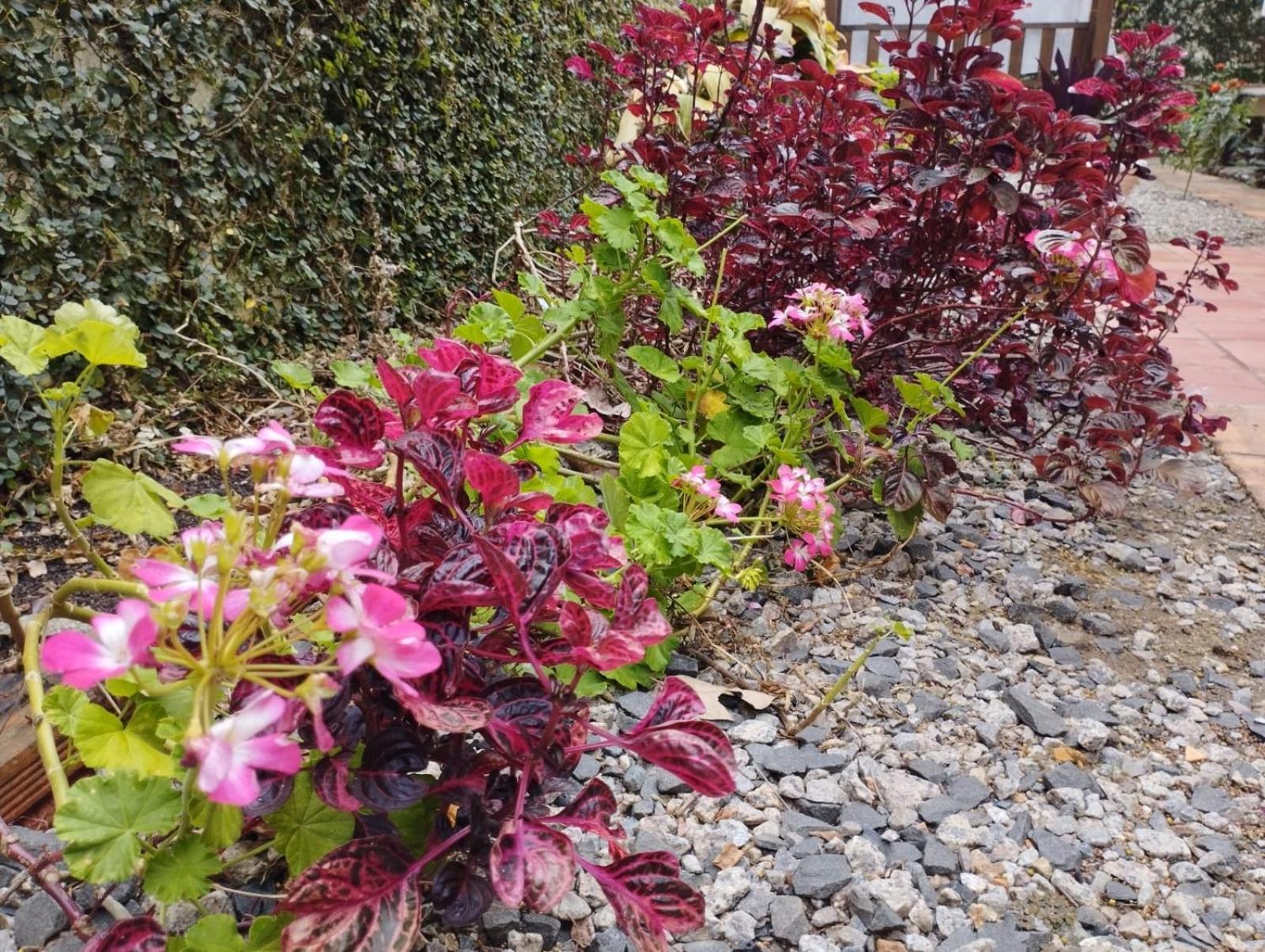 Charmoso Apto Com Clima De Casa Em Canasvieiras ฟลอเรียนอโปลิส ภายนอก รูปภาพ
